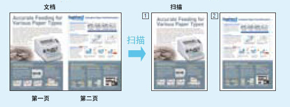 1547542570945460.jpg 18.jpg